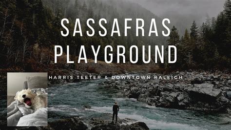 Visiting Sassafras Playground Harris Teeter Downtown Raleigh Vlog Youtube