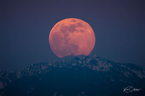 Photos Super Pink Full Moon Makes Dramatic Appearance Over Pacific