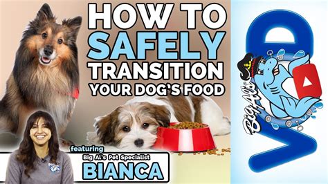 Is the farmer's dog really worth the cost? How To Safely Transition Your Dog's Food | Big Al's - YouTube