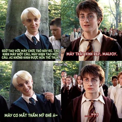 Hardra The Way We Love Each Other Draco Malfoy Chuyện Cười Harry