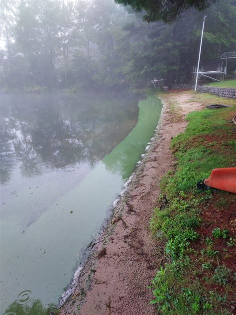 Cyanobacteria Advisory September 7 2022 Province Lake Association