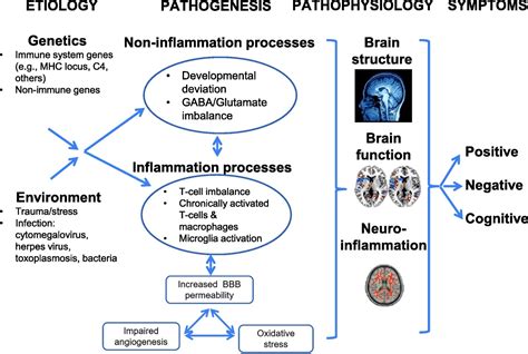 Inflammation Subtypes And Translating Inflammation Related G