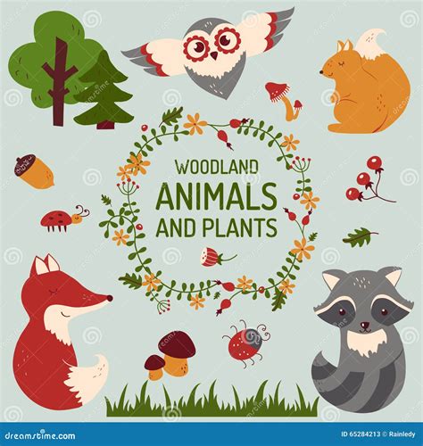 Vector Set Of Cute Woodland And Forest Animals Cartoon Vector