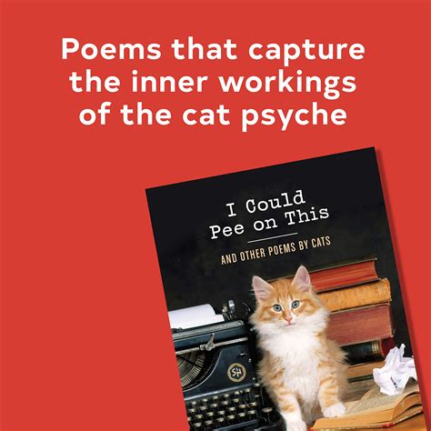 Funny Short Cat Poems Deeper