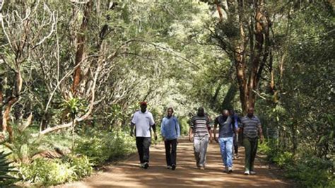 Nairobi Arboretum Now Introduces Entry Fees Business Daily