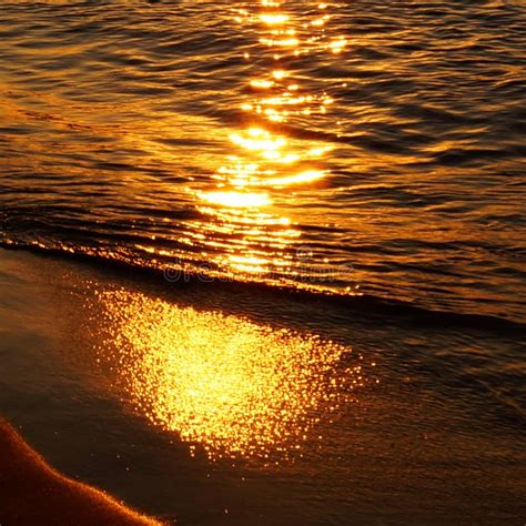Sunset Warm Tide In Golden Colors Stock Photo Image Of Time Beach