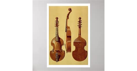 Viola Damore 18th Century From Musical Instrum Poster Zazzle