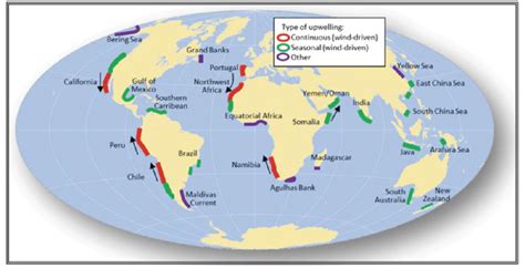 14 Locations Of Significant Coastal Upwelling Regions In The World