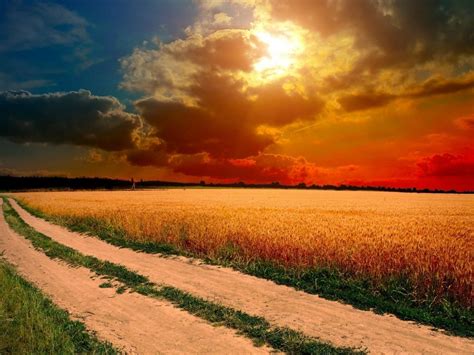 Road Field Sunset Hd Widescreen Wallpaper In 1024x768 Resolution