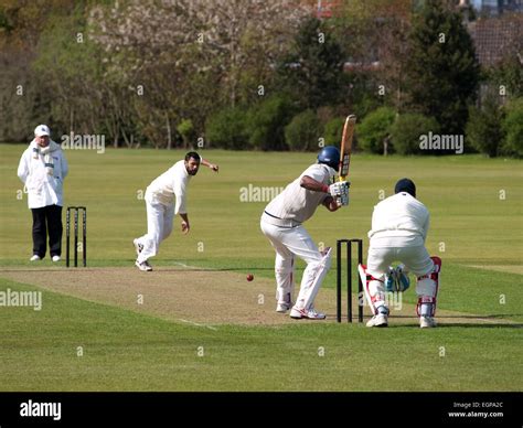 Cricket Bat And Ball Wicket High Resolution Stock Photography And