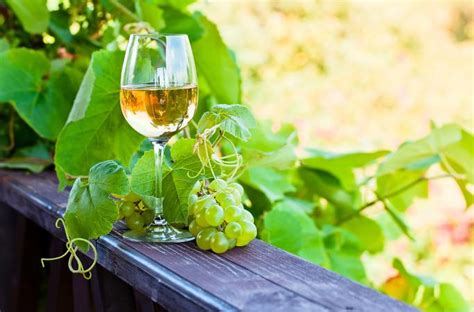 24 Recommendations For Best Dry White Wines Lovetoknow