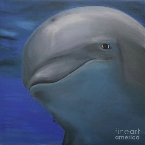 Dolphin Smiling Painting By Lisa Medeiros Fine Art America