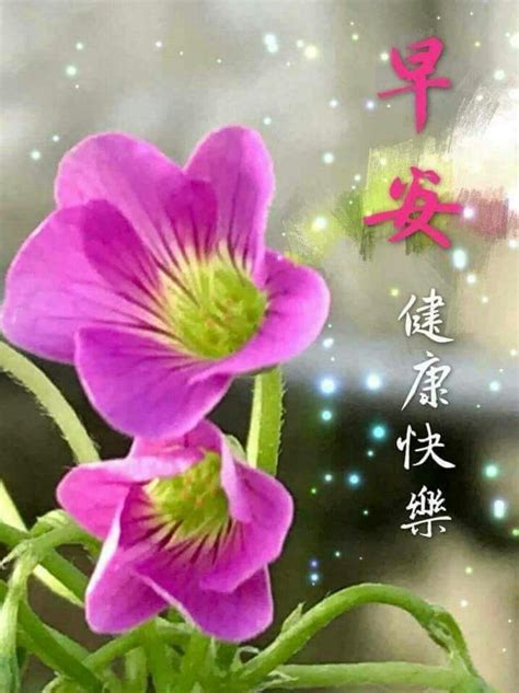 Good morning happy weekend good morning greetings good morning quotes happy sunday chinese photos beautiful pictures chinese language. Good morning wishes image by May Chua on Good Morning ...