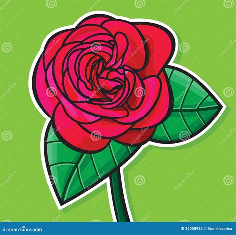Red Rose Illustration Stock Photography Image 36008922