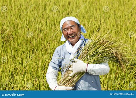 Japanese Farmer Man 70 Year Old Japanese Man Stock Image Image Of