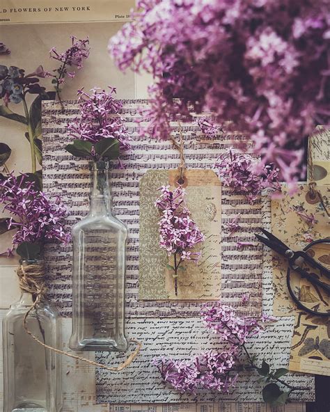 Bottle Notes Lilac Flowers Aesthetics Hd Phone Wallpaper Peakpx