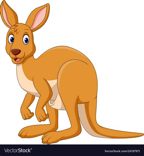 Cartoon Funny Kangaroo Isolated Royalty Free Vector Image