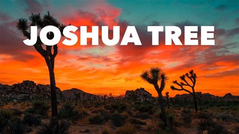 We did not find results for: Joshua Tree National Park // Spring Break 2016 - YouTube