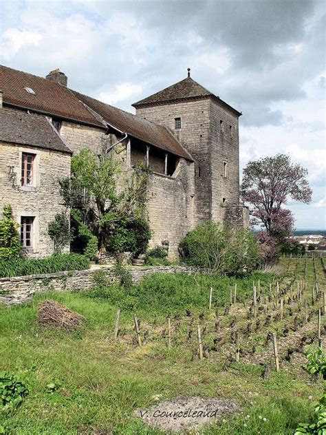 Château De Gevrey Chambertin Bourgogne France Chateau France