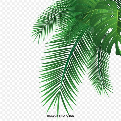 Clipart Palm Tree Leaf Png Jamie Paul Smith