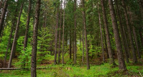 Les Avantages Terreaux Dupuy