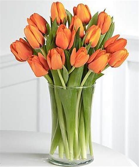 Orange Tulips Standard 15 Tulips Tulips Arrangement Tulip