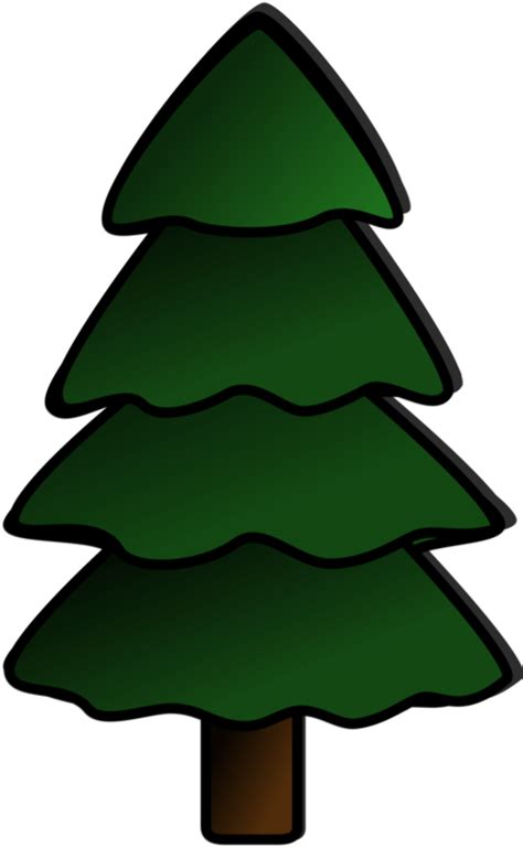 Download High Quality Tree Clipart Evergreen Transparent Png Images