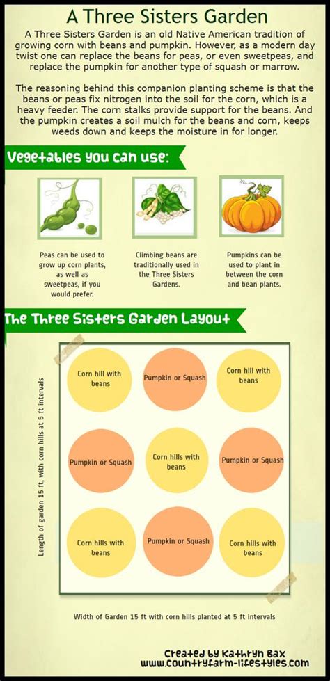 An established squash creating such companion gardens is a wonderful way to understand how to tend your garden better by allowing plants to be themselves. A New Twist on the Three Sisters Garden Layout, Planting ...