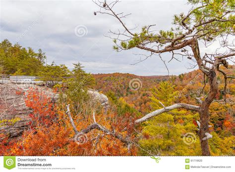 Lilly Bluff Overlook At Obed Stock Photo Image Of Autumn Outdoors