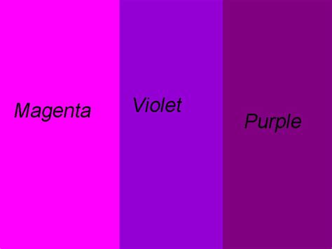 Violet Vs Purple Color Therapy