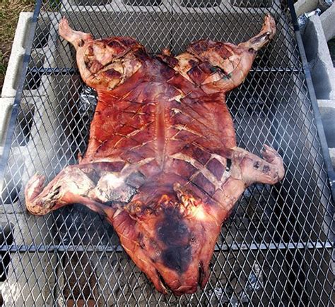 A Beginners Guide To Roasting A Whole Pig Smoked Food Recipes