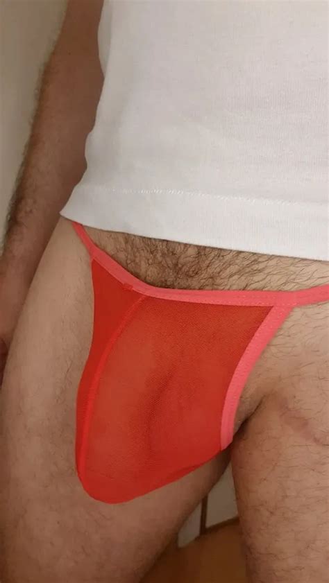 Red Sheer Mesh Panties Bulge 20 Pics Xhamster