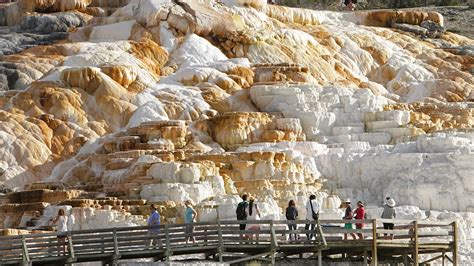 Explore Mammoth Hot Springs Yellowstone National Park United States