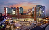 (a) biotic design studio: Johns Hopkins Hospital Healing Gardens