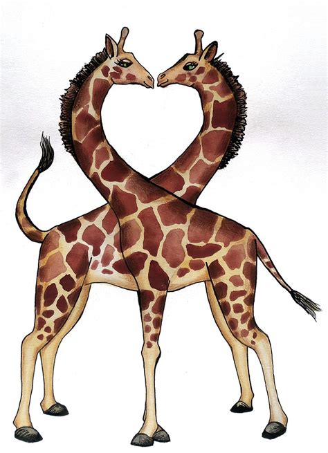 giraffe hart liefde gratis foto op pixabay