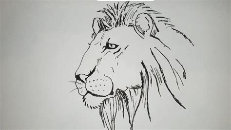 Kako Nacrtati Glavu Lavahow To Draw A Realistic Lion Head Easiest🦁