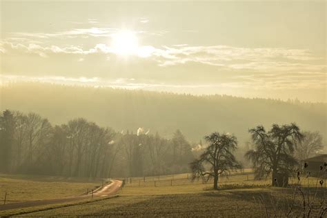 Free Images Landscape Tree Nature Horizon Silhouette Light