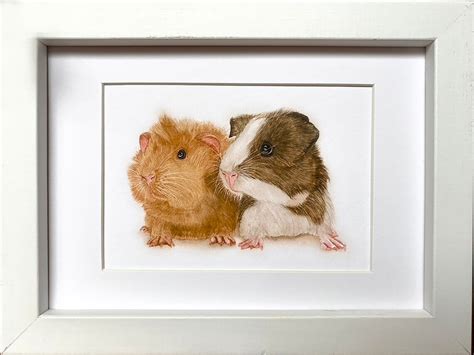 Guinea Pigs Miniature Framed Print From My Own Pet Portrait Etsy