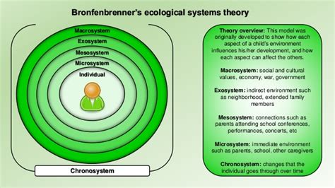 However, the analysis done by bronfenbrenner (1994) demonstratesthat factors, such as birth weight, mother's education, and family situation impactchildhood development. Design theory framework