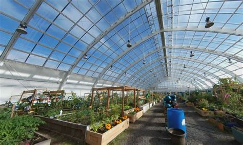 Inside The Arctic Greenhouses Where The Summer Sun Never Sets Gastro