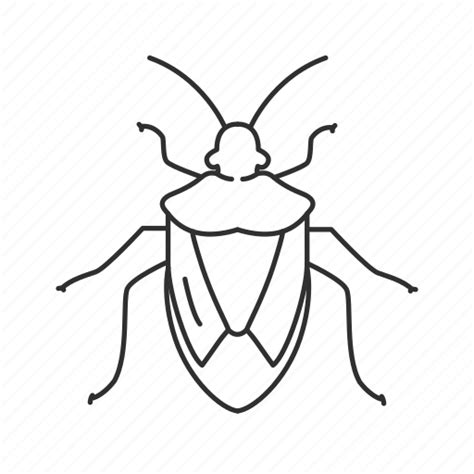 Stink Bugs Png Clipart Png Mart