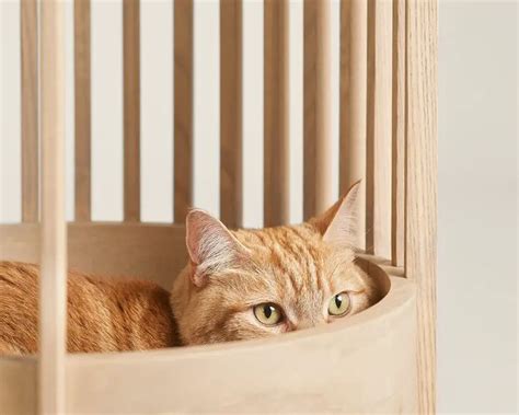 Modern Grove Cat Tower Blends Perfectly With Your Contemporary Decor