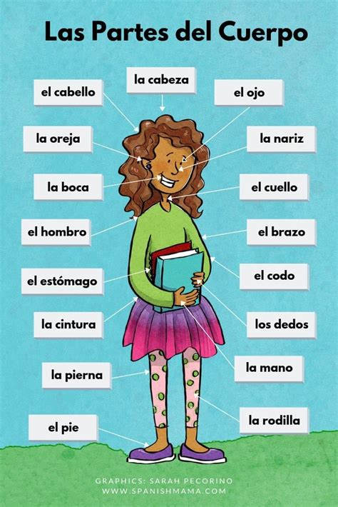 Body Parts In Spanish Games And Activities For Learning Them