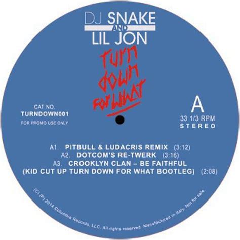 Dj Snake Lil Jon Turn Down For What Vinyl Amoeba Music