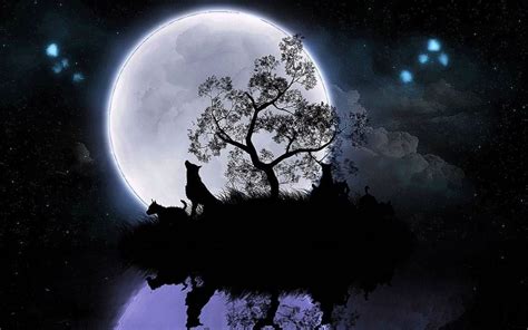 Full Moon Wolf Wallpapers Hd Wolf Background Images