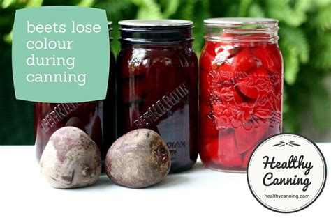 Canning Plain Beets Sund Canning Im Running