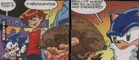 Sonic Sees A Real Hedgehog Xd Jinxthecat1601 Photo 37332378 Fanpop