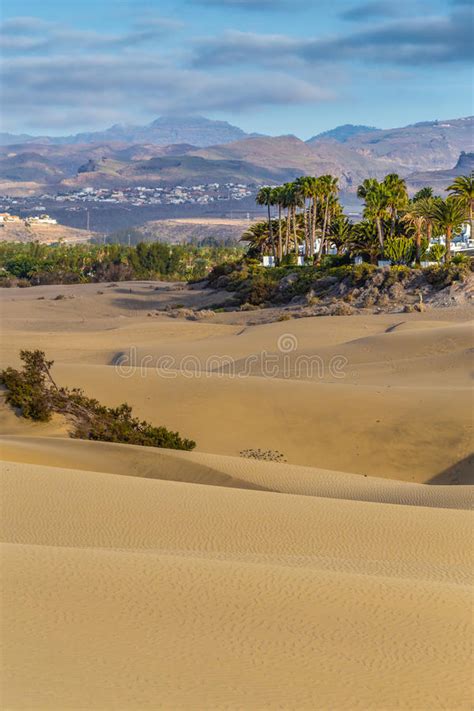 Maspalomas Dunes Gran Canariacanary Islandsspain Stock Image Image