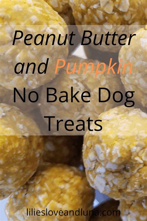 Easy 3 Ingredient No Bake Treats For Your Dog Easy Dog Treat Recipes