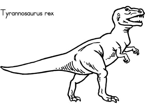T Rex Malvorlage Einfach Drucke Selbst Gratis Malvorlage Ausmalbild Dinosaurier T Rex